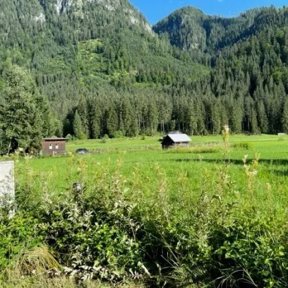 3 Grundstücke in Gosau zu kaufen - Bild 2