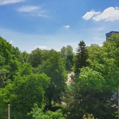 PROVISIONSFREI entwickeln wir mit Ihnen im Herzen von Linz Ihren neuen BÜRO-/ORDINATIONSSTANDORT! - Bild 2