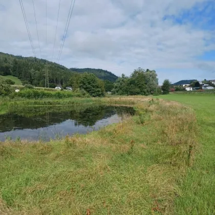 Schönes, ebenes Grundstück zur Freizeitgestaltung mit großem Teich,      ca. 13.600 m² in Völkermarkt - Bild 3