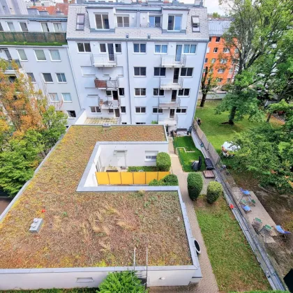 Perfekte 2-Zimmer Wohnung mit Loggia! Viel Grün + Garagenplatz inbegriffen + Perfekte Aufteilung + Fairer Preis + Tolle Infrastruktur! Nicht zögern! - Bild 3