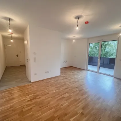 Perfekt aufgeteilte 3  Zimmerwohnung mit Balkon - Erstbezug - Bild 3