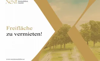 Freifläche - Widmung Betriebsbaugebiet - in Enns zu vermieten!