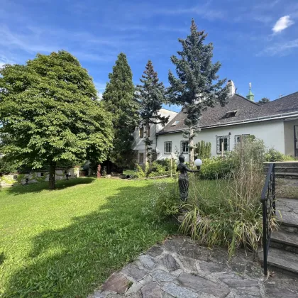 Baubewilligtes Villenprojekt mit Pool und Blick auf die Weinberge im Kahlenbergerdorf im 19. Bezirk - Bild 2