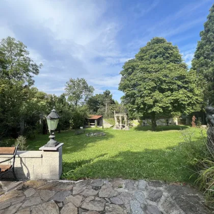 Baubewilligtes Villenprojekt mit Pool und Blick auf die Weinberge im Kahlenbergerdorf im 19. Bezirk - Bild 3