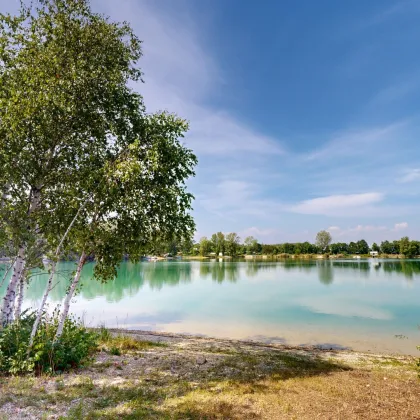 Idyllisches Seegrundstück (G9) mit Seezugang | Nähe Ebreichsdorf | absolute Ruhelage | 222 m² - Bild 2