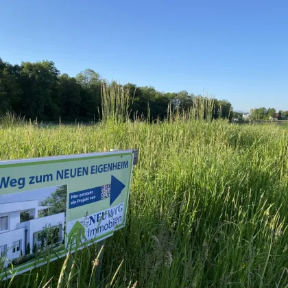 Neubauprojekt in Traumlage von St. Marien - Haus 2 - Bild 2