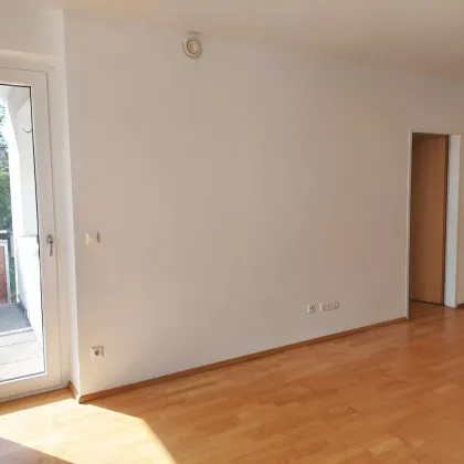 3 Zimmer Familientraum in Pottenbrunn - Bild 3