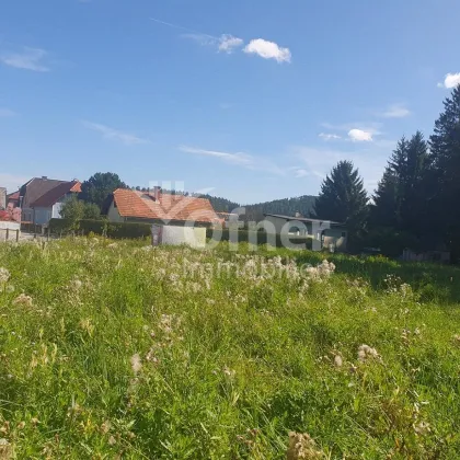 Sonniges Baugrundstück in Pichling bei Köflach - Bild 3