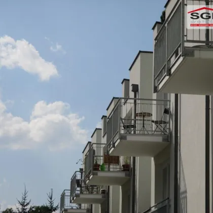 Geförderte 3 -Zimmer Genossenschaftswohnung (Miete-Kaufoption) mit Balkon und KFZ-Abstellplatz - Bild 2