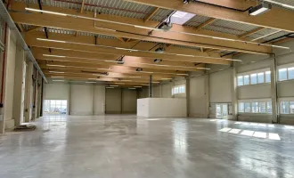 Erstbezug | 450m2 hochwertige Mehrzweckhalle | Sofort bezugsfertig!