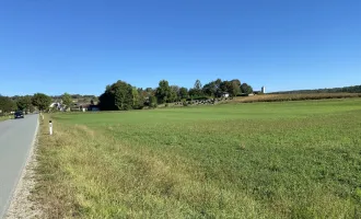 Großes Grundstück mit Bauland