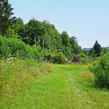 Südlich ausgerichteter Baugrund in Grünruhelage im äußersten Westen - Bild 2