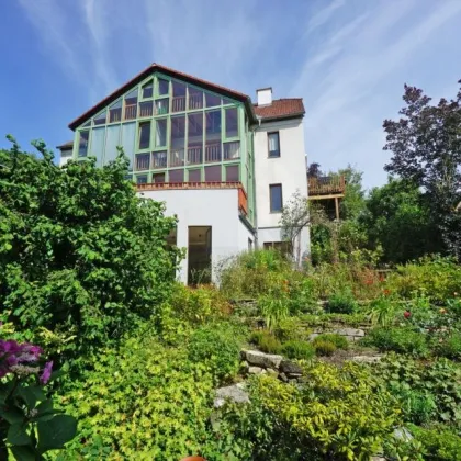 Unverbaubarer Wienerwaldblick in außergewöhnlicher Doppelhaushälfte am Sagberg - Bild 2