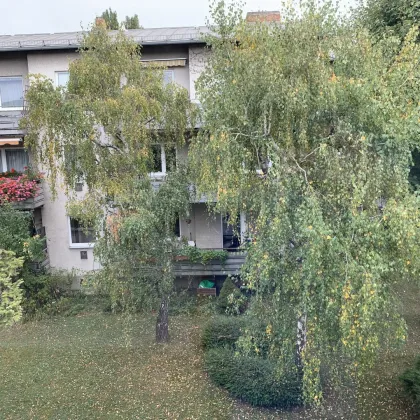 RESERVIERT - Einzigartige Wohnung in 1140 Wien - 77m², Balkon - Bild 3