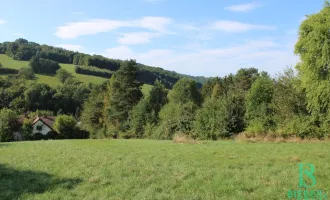 Für Jeden richtig fein - Groß – Mittel – Klein! Traumhafter Südhang mit Weit- und Grünblick!