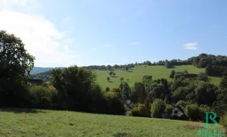 Groß – Mittel – Klein - Für Jeden richtig fein! Traumhafter Südhang mit Weit- und Grünblick!