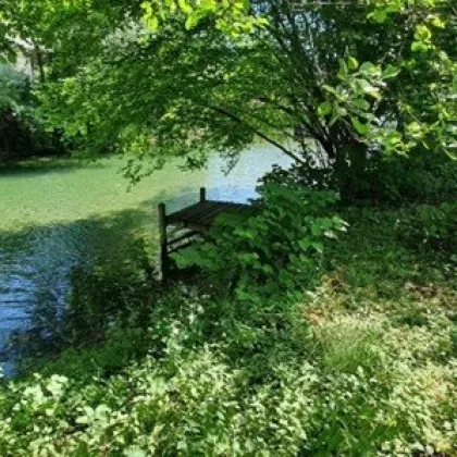 Rarität! Baugrundstück mit Altbestand im Grünen zwischen Attersee und Mondsee - Bild 2