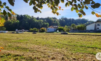 Gepflegte Nachbarschaft wunderschöne Lage