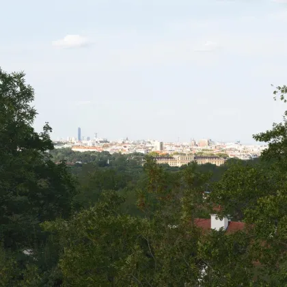 THE PENTHOUSES: Maisonette-Penthouse mit großer Terrasse und Wienblick - Bild 3