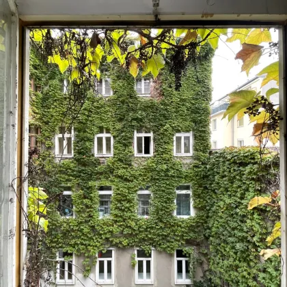 Altbau-Charme mit Renovierungspotenzial: Wohnungen in historischem Gebäudeensemble - Bild 3