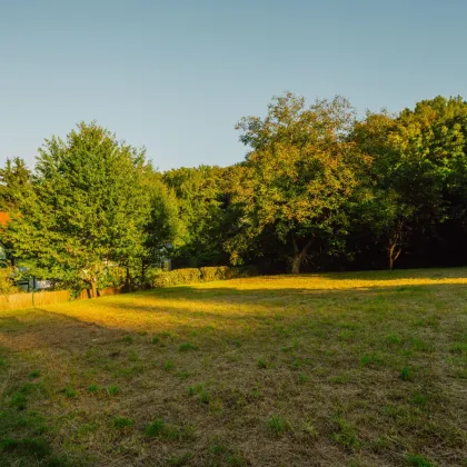 Baugrundstück in begehrter Lage am Bartberg - Bild 3