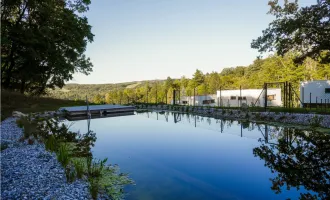 Klosterneuburgs Juwel am Wasser: Doppelhaus mit Badeteich - Modern, luxuriös, Hochwertig und zum sofortigen Einzug bereit!