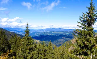 Sonniges Paradies auf der Koralpe: 1479,3m² Baugrund mit Skipisten-Nähe, ohne Baupflicht und atemberaubendem Talblick Richtung Wolfsberg!