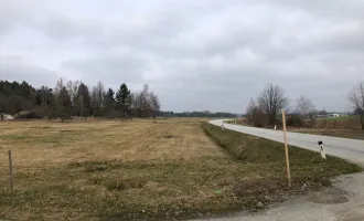 3,2 ha großes aufgeschlossenes Bauträger Grundstück Bauklasse II im Bezirk Gmünd/NÖ