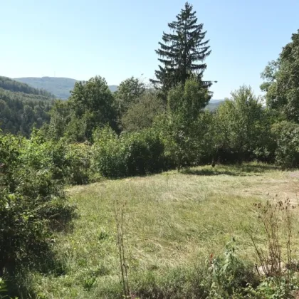 Wohnhaus in ruhiger Lage mit Fernblick - Bild 3