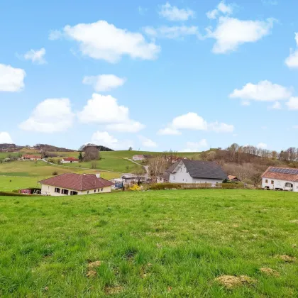 Neuer Preis! - Großer Wohnbau-Grund. - Zwischen Jennersdorf und Fürstenfeld. - Bild 2