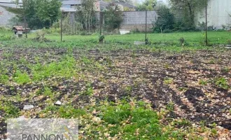 Gols: 1 oder 2 Baugrundstücke in ruhiger, eingesessener Wohngegend (Bauland Mischgebiet)