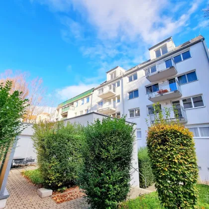 Kompakt / Klein / Leistbar / TOP Preis! Geniale Kleinwohnung - Ideal auch als Anlage! Garagenplatz im Preis inbegriffen + Perfekte Aufteilung + Tolle Infrastruktur! - Bild 3