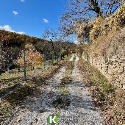 ALTBESTAND SAMT PROJEKT IN DER WACHAU BAUBEWILLIGT! Perfekte Lage im historischen Zentrum Krems Alt Rehberg, Teilbares Grundstück! - Bild 3