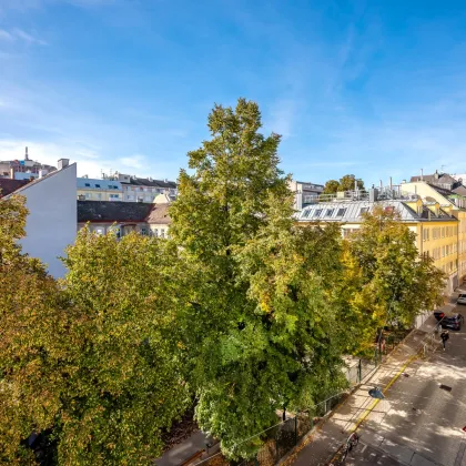 Klein aber Oho! Garconniere mit Parkblick in EG-Lage bei der Mariahilfer Straße - Bild 2