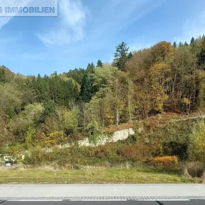 Urlaubsflair und Panoramablick | Doppelhaushälfte mit Aussicht auf die Donau - Bild 2