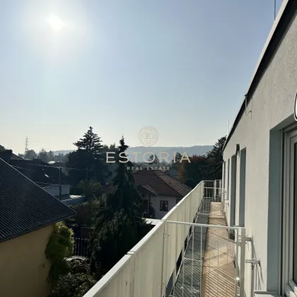 Traumhaft Wohnen in der Schwarzlackenau - Mittelreihenhaus mit Garten und Dachterrasse mit Fernblick zum Leopoldsberg - Bild 2