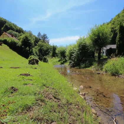 !!!PREISGESENKT!!! Einzigartiges Baugrundstück mit Gartenhütte in  Graz-Gösting! - Bild 3