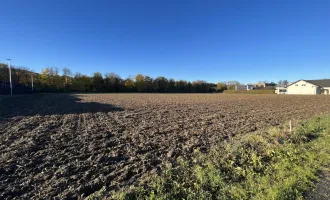 Gewerbegrundstück mit guter Verkehrsanbindung in Wünschendorf bei Gleisdorf