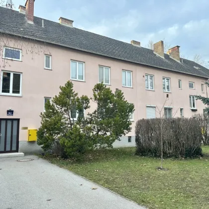 Wunderschöne neu sanierte 2 Zimmer wohnung in Rothneusiedel - Bild 2