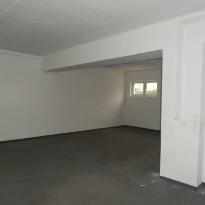 1230 Gewerbeobjekt in frequentierter Lage - 680m² Fläche in 2 Etagen, teilbar - Bild 3