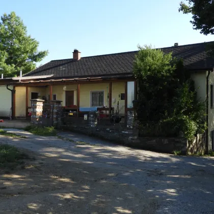 Dreifamilienhaus - attrakrives Investment mit Garten - Bild 2