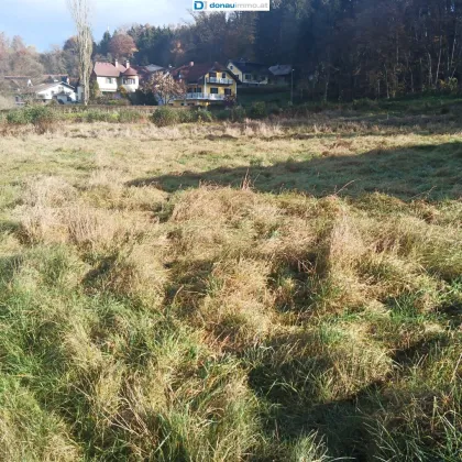 Zentral liegendes, ebenes, sonniges Grundstück mit viel Potenzial in Ragnitz - Bild 2