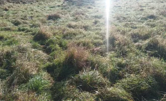 Zentral liegendes, ebenes, sonniges Grundstück mit viel Potenzial in Ragnitz