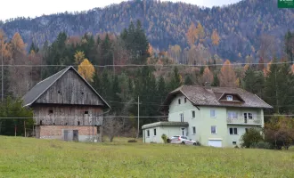 Land- und Forstwirtschaftliche Flächen arrondiert ca. 7,6 ha  mit großem Wohnhaus und Stallgebäude