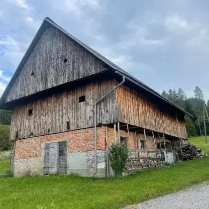 Land- und Forstwirtschaftliche Flächen arrondiert ca. 7,6 ha  mit großem Wohnhaus und Stallgebäude - Bild 2