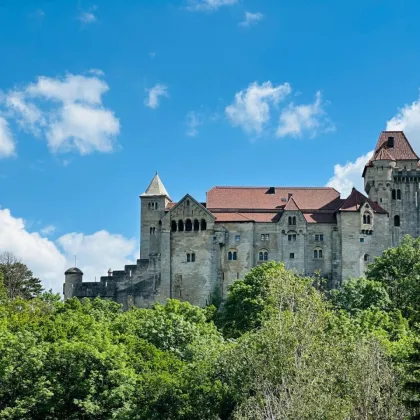 AKTIONSPREIS! Exklusive Doppelhaushälften inkl. Terrasse/Garten + Balkon! TRAUMAUSBLICK auf Burg Liechtenstein! SCHLÜSSELFERTIG! - Bild 3