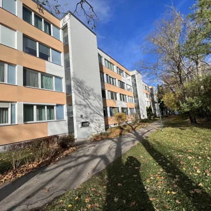 Gemütliche 3-Zimmerwohnung mit Loggia - Südstadt - Maria Enzersdorf - Bild 3