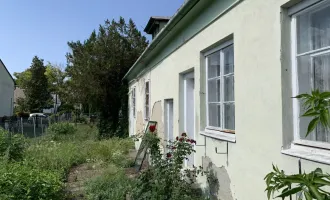 Bauland mit Grünland in Bad Deutsch-Altenburg