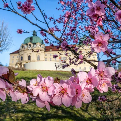 Traumhaftes Baugrundstück in Klosterneuburg - Ihr zukünftiges Eigenheim wartet auf Sie! - Bild 2