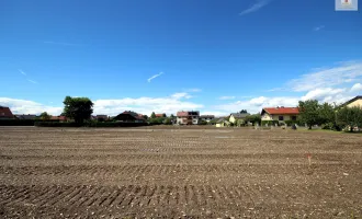 Noch zwei Parzellen nähe Stadtzentrum ab 634 m² bis 666 m² in Ebenthal - Rain